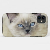 ラグドールの子猫 Case-Mate iPhoneケース (裏面(横))