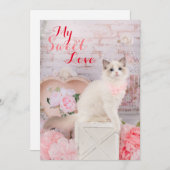 ラグドールキッテンフラットホリデーカード シーズンカード (正面/裏面)