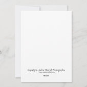 ラグドールキッテンフラットホリデーカード シーズンカード (裏面)