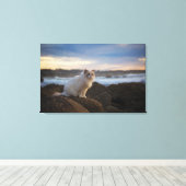 ラグドールキャットアットザビーチ キャンバスプリント (インサイチュ (ウッドフロア))