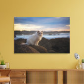 ラグドールキャットアットザビーチ キャンバスプリント (インサイチュ (リビング))