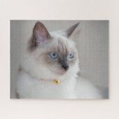 ラグドールキャット ジグソーパズル (横)