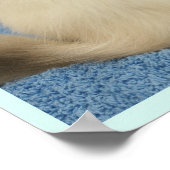 ラグドールベビーポスター ポスター (角)