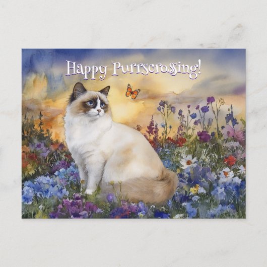 ラグドールポストクロッシング – ポストカード (正面)