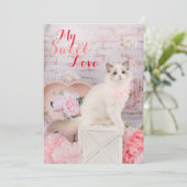 ラグドール子猫のフラットホリデーカード シーズンカード (スタンド正面)