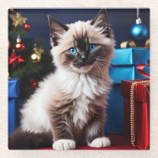 ラグドール子猫クリスマスプレゼント ガラスコースター (正面)
