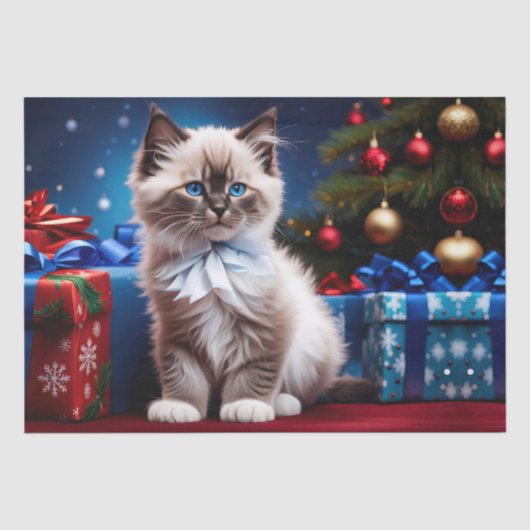 ラグドール子猫クリスマスプレゼント 薄葉紙 (正面)