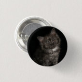 ラグドール子猫ラグドール猫顔白黒子猫 缶バッジ (正面&裏面)