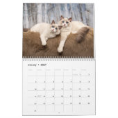 ラグドール子猫 カレンダー (1月 2027)