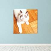 ラグドール猫が床に、高いビュー キャンバスプリント (インサイチュ (ウッドフロア))