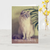 ラグドール猫のグリーティングカード カード (黄色い花)