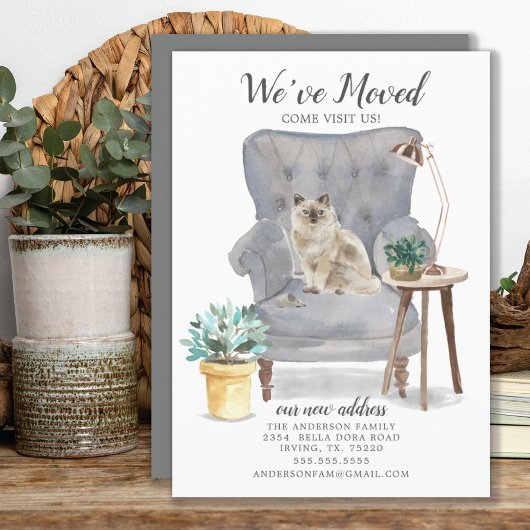 ラグドール猫の動きのお知らせ 案内状