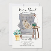 ラグドール猫の動きのお知らせ 案内状 (正面)