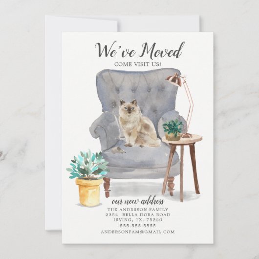 ラグドール猫の動きのお知らせ 案内状 (正面)