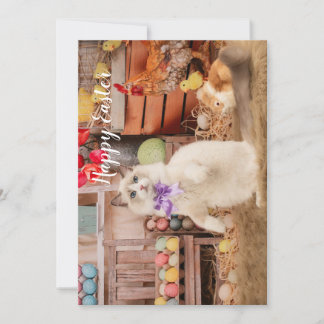 ラグドール猫イースターグリーティングカード シーズンカード