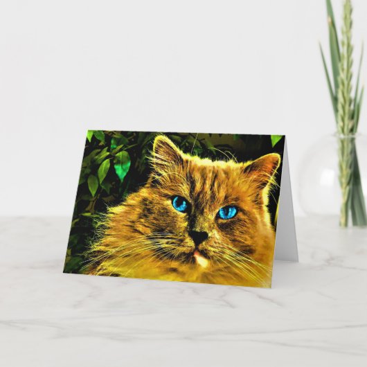 ラグドール猫カード カード (正面)