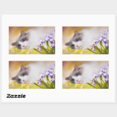 ラグドール猫シール 長方形シール (シート)