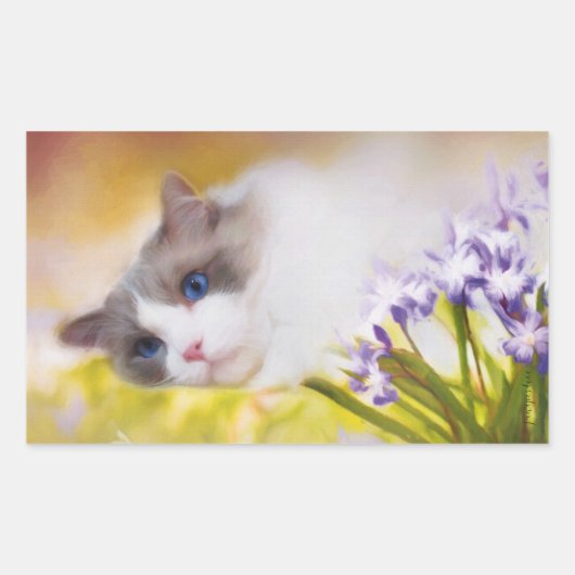 ラグドール猫シール 長方形シール (正面)