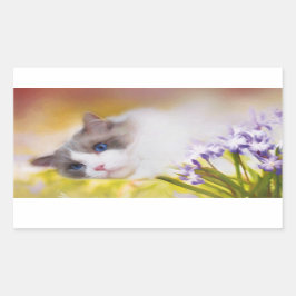 ラグドール猫シール 長方形シール