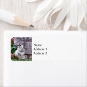 ラグドール猫バイアジサイ ラベル (インサイチュ)