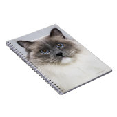 ラグドール猫ポートレート ノートブック (右側)