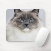 ラグドール猫ポートレート マウスパッド (マウス)