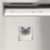 ラグドール猫ポートレート マグネット (インサイチュ (食洗機))