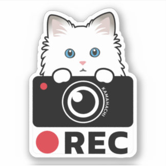 ラグドール猫レコーディングビニールステッカー警告カメラ シール