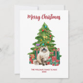 ラグドール猫家族のクリスマス シーズンカード (正面)