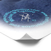 ラグドール猫9W082D-011 ポスター (角)