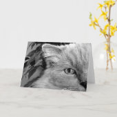 ラグドール猫、カード カード (黄色い花)