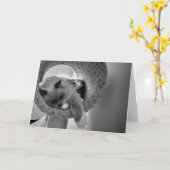 ラグドール猫、カード カード (黄色い花)