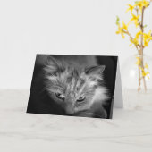 ラグドール猫/ノアカード カード (黄色い花)