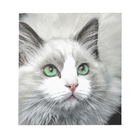 ラグドール猫。 ノートパッド (正面)