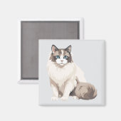 ラグドール猫 マグネット (正面/裏面)