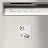 ラグドール猫 マグネット (インサイチュ (食洗機))