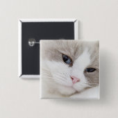 ラグドール猫 缶バッジ (正面&裏面)