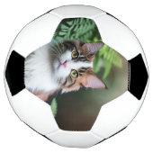 ラグドール猫Lulu The Ragdoll Soccerball サッカーボール (回転)