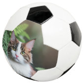 ラグドール猫Lulu The Ragdoll Soccerball サッカーボール (3/4)