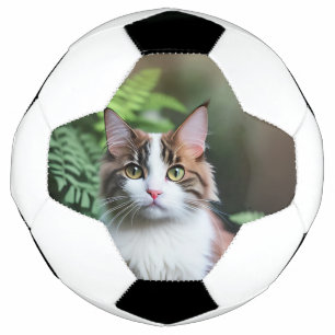 ラグドール猫Lulu The Ragdoll Soccerball サッカーボール