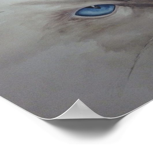 ラグドール目 ポスター (角)