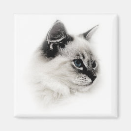 ラグドール磁石 マグネット