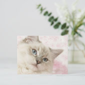 ラグドール葉書 ポストカード (スタンド正面)