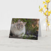 ラグドール誕生日カード カード (黄色い花)