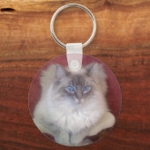 ラグドール キーホルダー (正面)