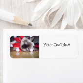 ラグドール・クリスマス ラベル (インサイチュ)