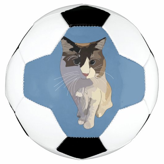 ラグドール,ダスティブルー サッカーボール (正面)