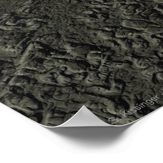 ラグドール ポスター (角)