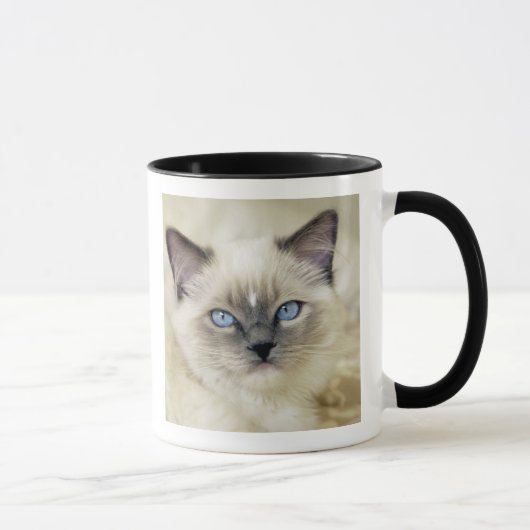 ラグドール+子猫 マグカップ (右)