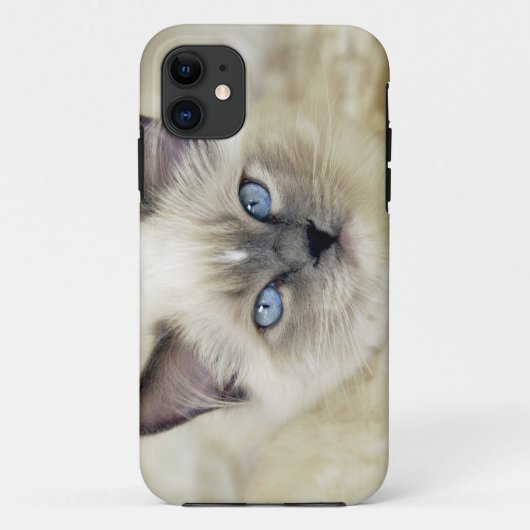 ラグドール+子猫 Case-Mate iPhoneケース (裏面)